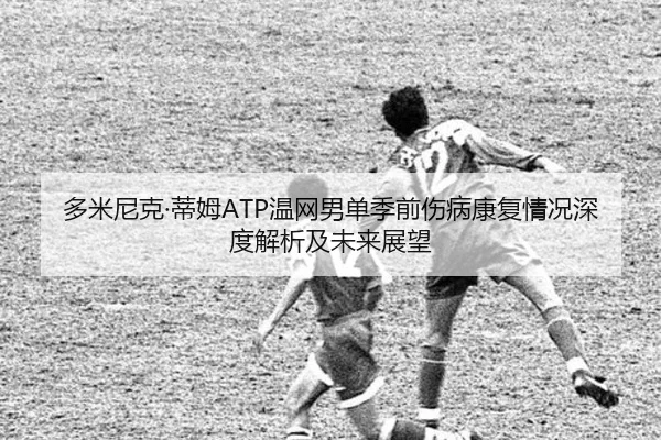 多米尼克·蒂姆ATP温网男单季前伤病康复情况深度解析及未来展望